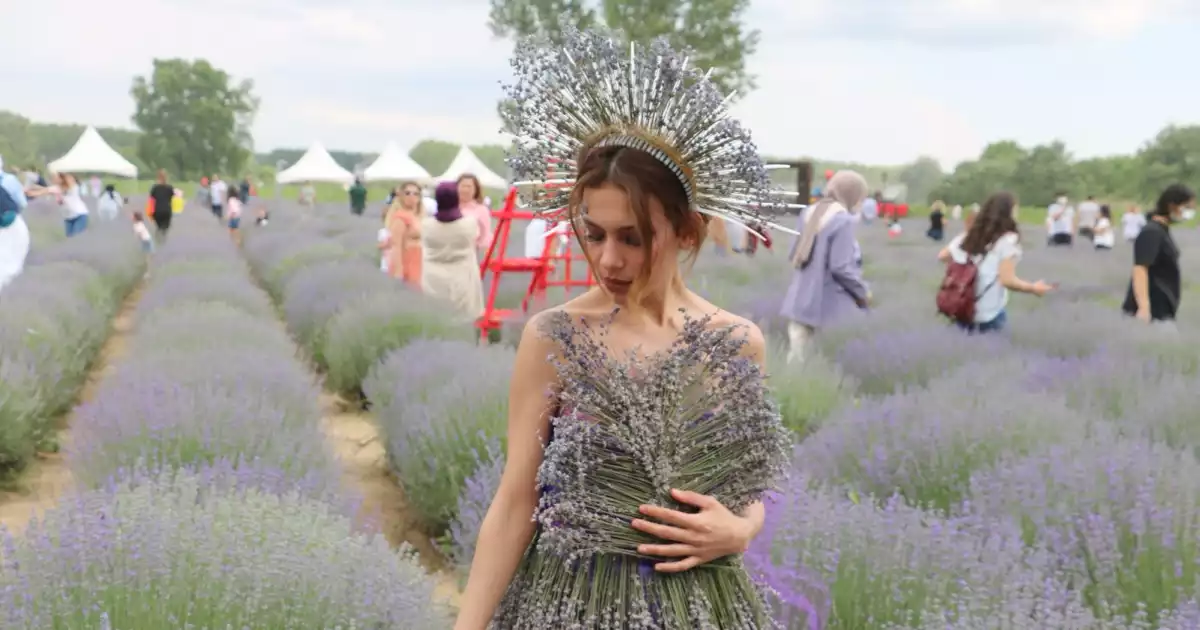 Edirne Lavanta Festivali